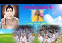 Sự Khéo Trả Lời Của Đức Phật – Thích Giác Hóa su kheo tra loi cua duc phat thi