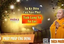 Sự Kỳ Diệu Của Não Phải Phần 2 – Tĩnh Lặng Và An Lạc (KT86) – Thích Phước Tiến su ky dieu cua nao phai phan 2 t