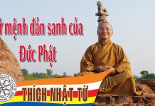 Sứ mệnh đản sanh của đức Phật – Thích Nhật Từ – 21/05/2005 su menh dan sanh cua duc phat th
