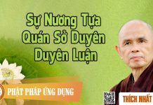 Sự Nương Tựa – Quán Sở Duyên Duyên Luận – Thích Nhất Hạnh su nuong tua quan so duyen duyen