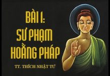 Sư Phạm Hoằng Pháp – Thích Nhật Từ su pham hoang phap thich nhat tu