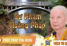 Sư Phạm Hoằng Pháp – Thích Trí Quảng su pham hoang phap thich tri qua