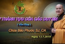 Sự Thành Tựu Của Các Duyên – Thích Pháp Hòa su thanh tuu cua cac duyen thich