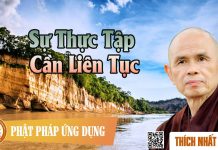 Sự Thực Tập Cần Liên Tục – Thích Nhất Hạnh su thuc tap can lien tuc thich n