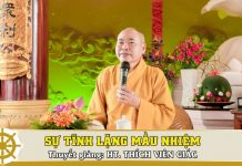Sự Tĩnh Lặng Mầu Nhiệm – Thích Viên Giác su tinh lang mau nhiem thich vie