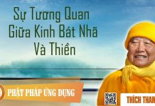 Sự Tương Quan Giữa Kinh Bát Nhã Và Thiền – Thích Thanh Từ su tuong quan giua kinh bat nha