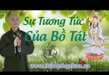 Sự Tương Tức Của Bồ Tát (Vấn Đáp) – Thích Pháp Hòa su tuong tuc cua bo tat van dap