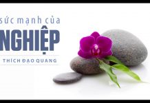 Sức Mạnh Của Nghiệp – Thích Đạo Quang suc manh cua nghiep thich dao qu