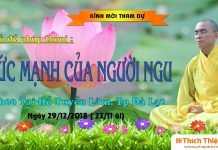 Sức Mạnh Của Người Ngu – Thích Thiện Tuệ suc manh cua nguoi ngu thich thi