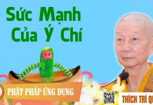 Sức Mạnh Của Ý Chí – Thích Trí Quảng suc manh cua y chi thich tri qua