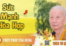 Sức Mạnh Hòa Hợp – Thích Trí Quảng suc manh hoa hop thich tri quang