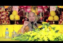 Sướng Khổ Đọa Siêu Do Tâm Mình – Thích Trí Huệ suong kho doa sieu do tam minh t