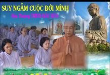 Suy Ngẫm Cuộc Đời Mình – Thích Giác Hóa suy ngam cuoc doi minh thich gia