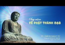 Suy Niệm Về Phật Thành Đạo – Thích Nhật Từ suy niem ve phat thanh dao thich