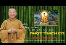Suy Niệm Về Sự Giác Ngộ Của Phật Thích Ca – Thích Nhật Từ suy niem ve su giac ngo cua phat