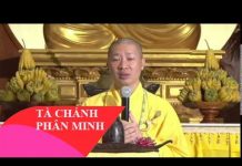Tà Chánh Phân Minh – Thích Thiện Thuận ta chanh phan minh thich thien t