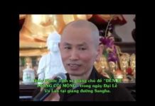Ta Còn Lại Gì Phần 2 – Thích Phước Tịnh ta con lai gi phan 2 thich phuoc