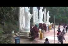 Tà Cú Tâm Linh Và Thiên Nhiên – Thích Thiện Tuệ ta cu tam linh va thien nhien th