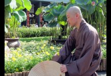 Ta Đang Là Ai – Thích Thiện Thuận ta dang la ai thich thien thuan