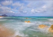 Ta Đang Làm Gì Đây – Thích Minh Niệm ta dang lam gi day thich minh ni