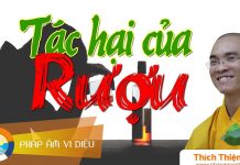 Tác Hại Của Rượu – Thích Thiện Tuệ tac hai cua ruou thich thien tue