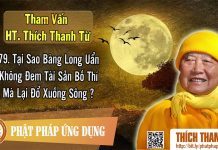 Tại Sao Bàng Long Uẩn Không Đem Tài Sản Bố Thí Mà Lại Đổ Xuống Sông – Tham vấn HT Thích Thanh Từ 79 tai sao bang long uan khong dem