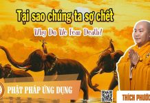 Tại Sao Chúng Ta Sợ Chết – Thích Phước Tiến tai sao chung ta so chet thich p