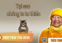 Tại Sao Chúng Ta Tu Thiền – Thích Thanh Từ tai sao chung ta tu thien thich