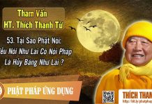 Tại Sao Nếu Nói Phật Có Nói Pháp Là Hủy Báng Phật – Tham vấn HT Thích Thanh Từ 53 tai sao neu noi phat co noi phap