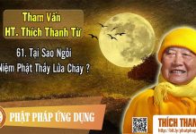Tại Sao Ngồi Niệm Phật Thấy Lửa Cháy – Tham vấn HT Thanh Từ 61 tai sao ngoi niem phat thay lua