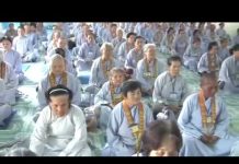 Tại Sao Ta Đau Khổ Phiền Não – Thích Bửu Chánh tai sao ta dau kho phien nao thi