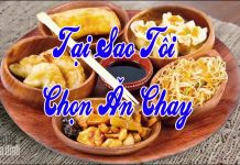 Tại Sao Tôi Chọn Ăn Chay – Thích Thiện Tuệ tai sao toi chon an chay thich t