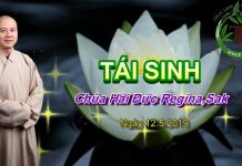 Tái sinh – Thích Pháp Hòa tai sinh thich phap hoa