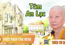 Tâm An Lạc (KT13) – Thích Trí Quảng tam an lac kt13 thich tri quang