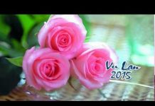 Tâm – Ấn – Vật – Thích Pháp Hòa tam an vat thich phap hoa
