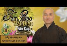 Tam Bảo Bất Biến (Vấn Đáp) – Thích Pháp Hòa tam bao bat bien van dap thich p