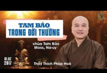 Tam Bảo Trong Đời Thường – Thích Pháp Hòa tam bao trong doi thuong thich p