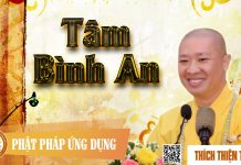 Tâm Bình An (KT07) – Thích Thiện Thuận tam binh an kt07 thich thien thu