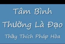 Tâm Bình Thường Là Đạo – Thích Pháp Hòa tam binh thuong la dao thich pha