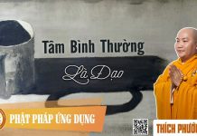 Tâm Bình Thường Là Đạo – Thích Phước Tiến tam binh thuong la dao thich phu