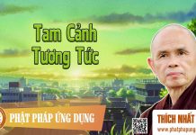 Tâm Cảnh Tương Tức – Thích Nhất Hạnh tam canh tuong tuc thich nhat ha