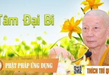Tâm Đại Bi – Thích Trí Quảng tam dai bi thich tri quang