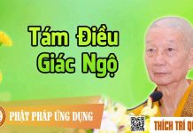 Tám Điều Giác Ngộ – Thích Trí Quảng tam dieu giac ngo thich tri quan