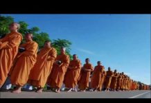 Tâm Giác Ngộ – Thích Trí Huệ tam giac ngo thich tri hue