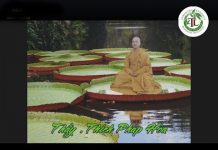 Tâm Hạnh Người Tu 2 – Thích Pháp Hòa tam hanh nguoi tu 2 thich phap h