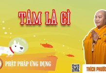 Tâm Là Gì? – Thích Phước Tiến tam la gi thich phuoc tien