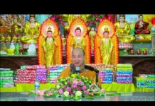Tâm Niệm Phật Sở Cầu Sở Nguyện Như Ý – Thích Trí Huệ tam niem phat so cau so nguyen n
