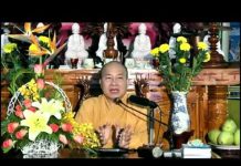 Tầm Phương Giải Thoát Mà Về Mới Khôn – Thích Trí Huệ tam phuong giai thoat ma ve moi