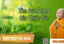 Tầm Quan Trọng Của Phước Đức – Thích Phước Tiến tam quan trong cua phuoc duc thi