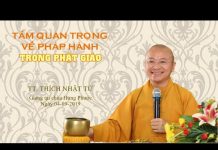 Tầm quan trọng về pháp hành trong Phật giáo – Thích Nhật Từ tam quan trong ve phap hanh tron